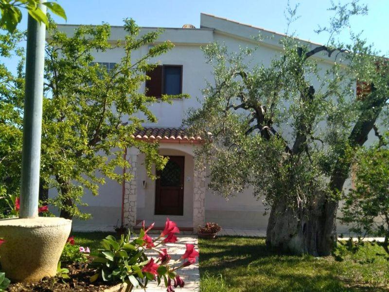 Bed and Breakfast Borgo Cerasa Vieste Exterior foto