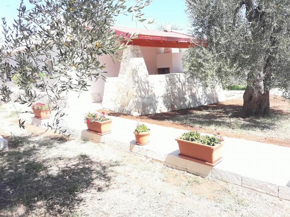 Bed and Breakfast Borgo Cerasa Vieste Exterior foto